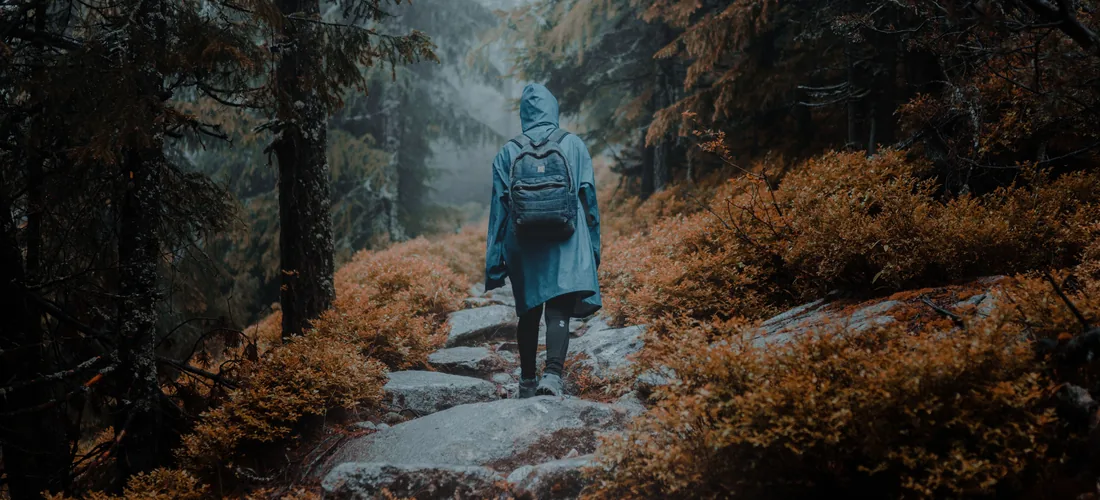 Una persona caminando por un sendero rocoso en medio del bosque